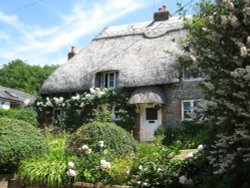 Neat haircut Wallpaper