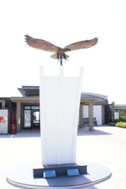 A picture of the National Memorial Arboretum