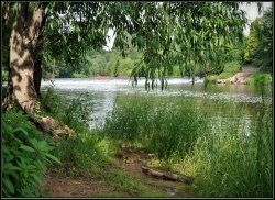 Below Holt Weir Wallpaper