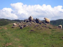 South West Coast path from Morte Point to Woolacoombe