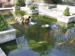 Colchester Castle Park Wallpaper