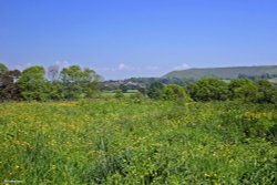 Stour Valley Summer Wallpaper