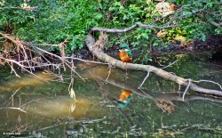 Stour Valley Summer Wallpaper