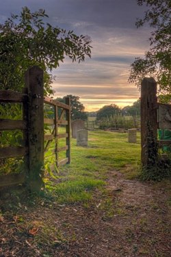 Looking at the Stones