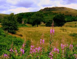 Summer View! Wallpaper