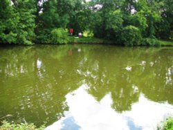 Hopeful fishing Wallpaper