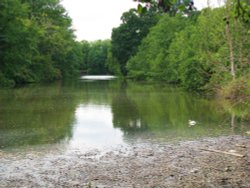 The River at Gunton Wallpaper