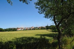 Field in Kent looking Towards St Margarets Cliffe, Kent - July 2010 by David Thomas Wallpaper