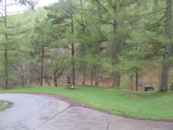 Cwmcarn Forest Drive Wallpaper