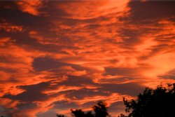 We had a beautiful sunset last night. Wallpaper