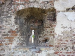 The Old Wall Wallpaper