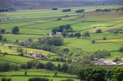 View from Brimham Rocks Wallpaper