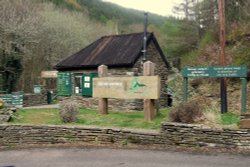 Cwmcarn Forest Drive Wallpaper