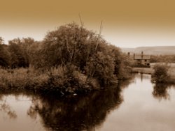 Greenfield Wallpaper