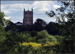 Sun on the Meadow. Wallpaper