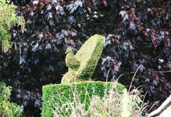 Redisham Hall Gardens Wallpaper