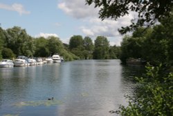 The Thames at Tilehurst Wallpaper