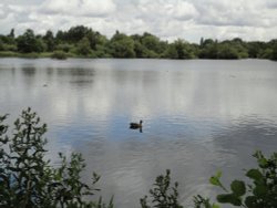 Stockers Lake Wallpaper