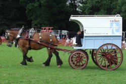 Abergavenny Shire Horse Show Wallpaper