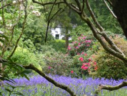 The Cottage in the Garden Wallpaper