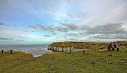 Flamborough Wallpaper