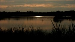 Sunset at Strumpshaw Fen