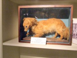 Abergavenny Museum Wallpaper