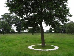 Bergh Apton Gardens Open Day Wallpaper