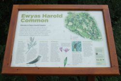 Ewyas Harold Common Wallpaper
