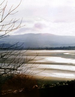 Chilly winters day and the tides out.