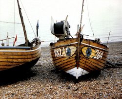 Eye eye sir. Wallpaper