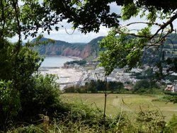 Sidmouth Wallpaper