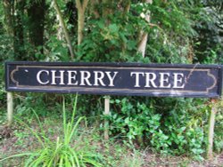 The Cherry Tree sign opposite pub Wallpaper