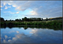 Sunlight on top of Bredon Hill. Wallpaper
