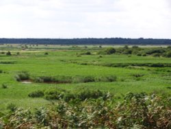 Dunwich Heath, looking towards Sizewell Wallpaper