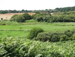 Dunwich Heath, looking towards Sizewell Wallpaper