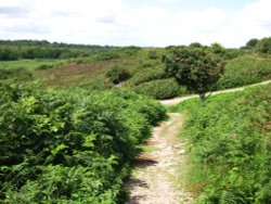 Dunwich Heath Wallpaper