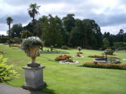 Bicton Park Botanical Gardens in Budleigh Salterton Wallpaper