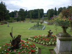 Bicton Park Botanical Gardens in Budleigh Salterton Wallpaper