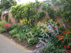 Bicton Park Botanical Gardens in Budleigh Salterton Wallpaper