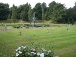 Bicton Park Botanical Gardens in Budleigh Salterton Wallpaper