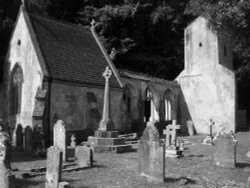 Bicton Park Botanical Gardens in Budleigh Salterton Wallpaper