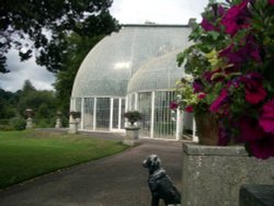 Bicton Park Botanical Gardens in Budleigh Salterton Wallpaper