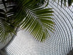 Bicton Park Botanical Gardens in Budleigh Salterton Wallpaper