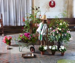 Getting ready for flower festival Wallpaper