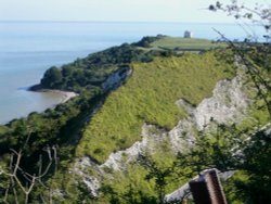 Folkestone Wallpaper