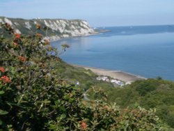 Folkestone Wallpaper