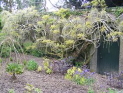 Trelissick Doorway Wallpaper