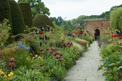 The Long Border at Packwood Wallpaper
