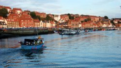 Evening harbour shot Wallpaper